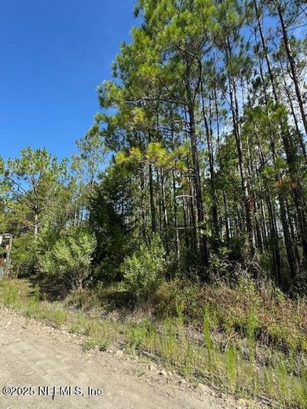 Land for sale in Union County, Florida