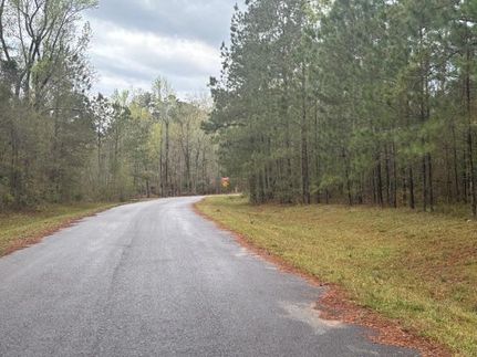 Homesite for sale in Decatur County, Georgia