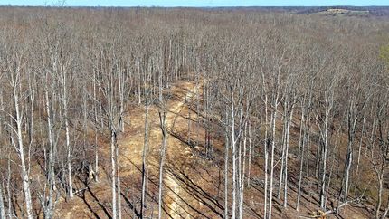 Land for sale in Dickson County, Tennessee