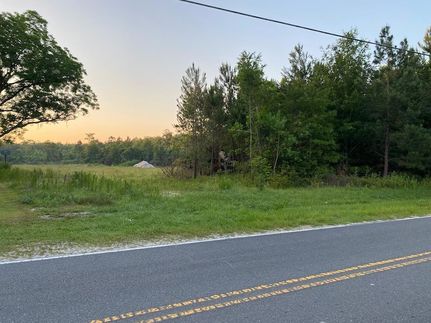 Land for sale in Brantley County, Georgia