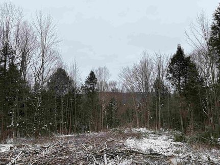 Land for sale in Caledonia County, Vermont