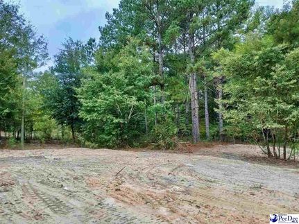 Homesite for sale in Chesterfield County, South Carolina