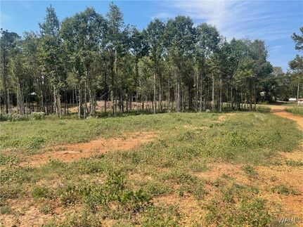 Land for sale in Tuscaloosa County, Alabama
