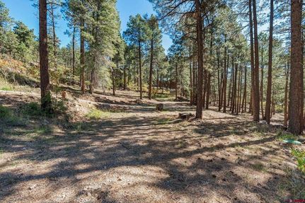 Land for sale in La Plata County, Colorado