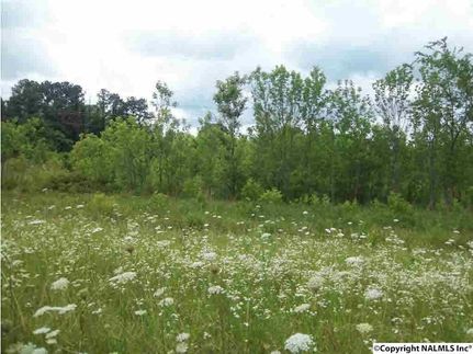 Land for sale in Morgan County, Alabama
