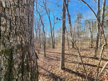 Land for sale in DeKalb County, Alabama