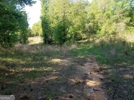 Land for sale in Polk County, Georgia