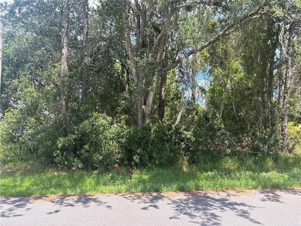 Land for sale in Flagler County, Florida