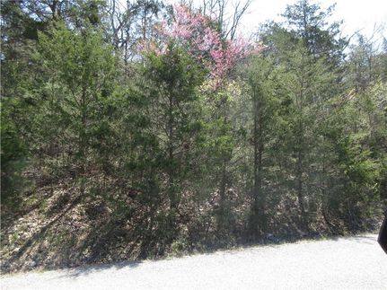 Land for sale in Carroll County, Arkansas
