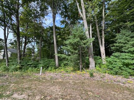 Land for sale in Van Buren County, Michigan