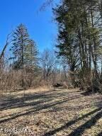 Land for sale in Northumberland County, Pennsylvania