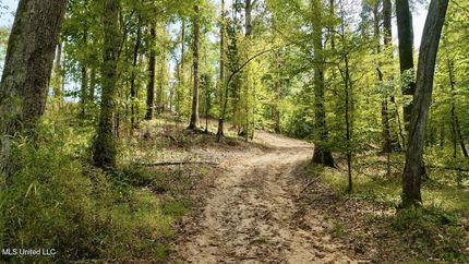 Land for sale in Madison County, Mississippi