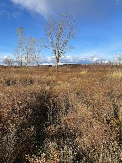 Land for sale in Saint Clair County, Michigan