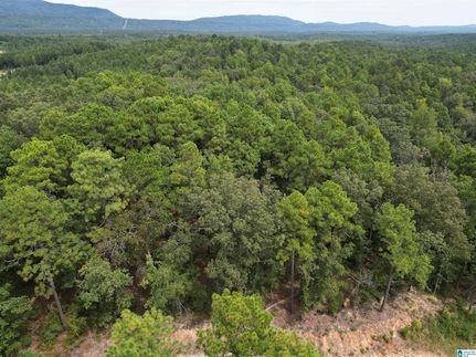 Homesite for sale in Shelby County, Alabama