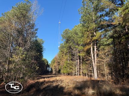 Land for sale in Lamar County, Alabama