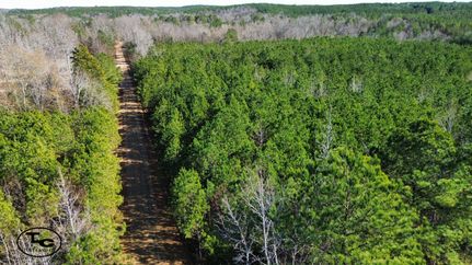 Land for sale in Lamar County, Alabama