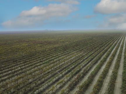 Land for sale in Fresno County, California