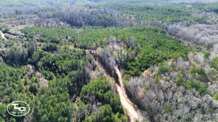 Land for sale in Lamar County, Alabama