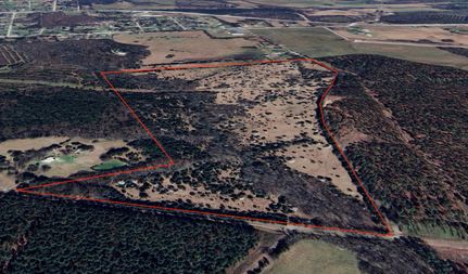 Land for sale in Abbeville County, South Carolina