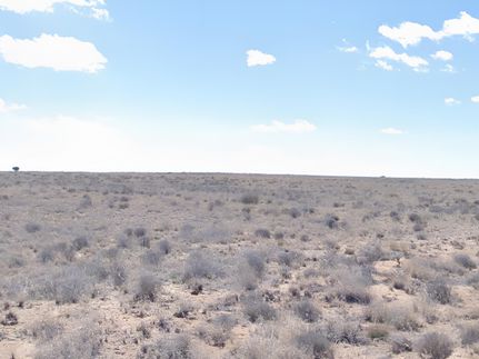 Land for sale in Socorro County, New Mexico