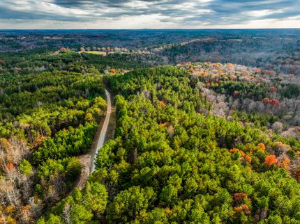 Land for sale in Winston County, Alabama