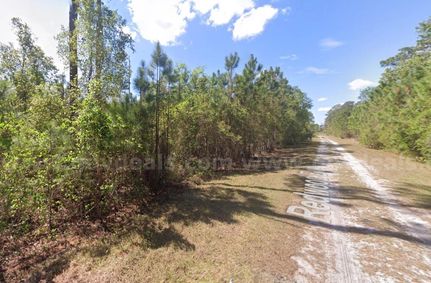 Undeveloped Land for sale in Citrus County, Florida