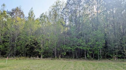 Land for sale in Dorchester County, South Carolina