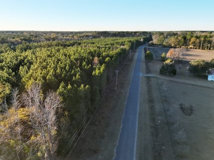 Land for sale in Hampton County, South Carolina