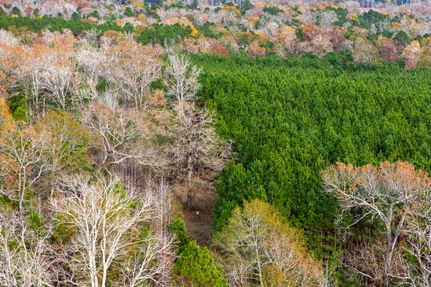 Hunting Property for sale in Houston County, Texas