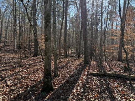 Land for sale in DeKalb County, Alabama