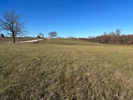 Undeveloped Land for sale in Webster County, Missouri