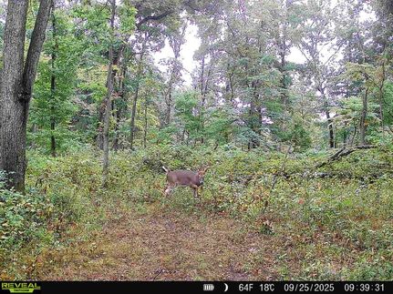 Timberland Property for sale in Greene County, Indiana