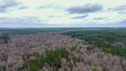 Land for sale in Cass County, Texas