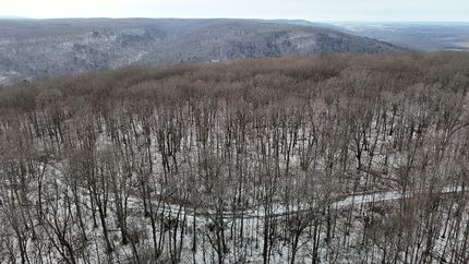 Land for sale in Tioga County, Pennsylvania