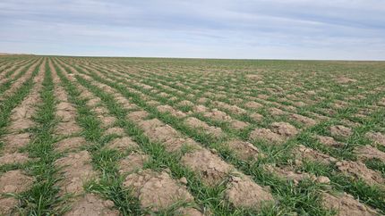 Land for sale in Wallace County, Kansas