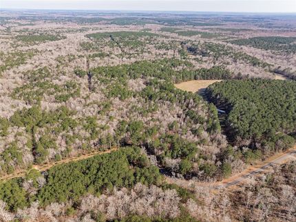 Land for sale in Webster Parish, Louisiana