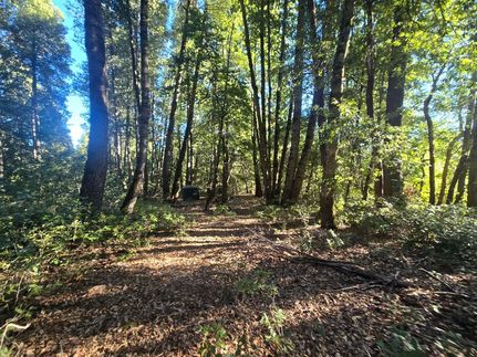 Land for sale in Trinity County, California