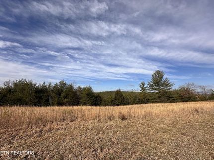 Land for sale in Morgan County, Tennessee