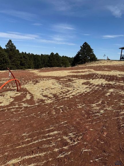 Undeveloped Land for sale in Pennington County, South Dakota