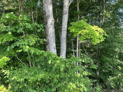 Homesite for sale in Clay County, Tennessee