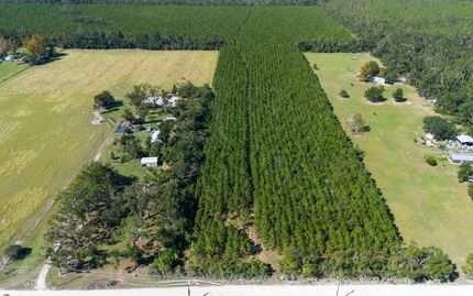 Undeveloped Land for sale in Suwannee County, Florida