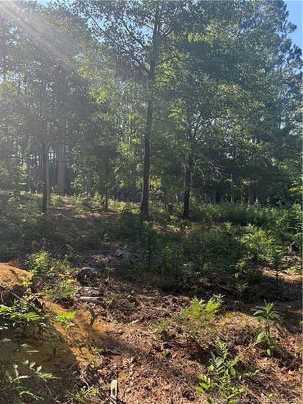 Land for sale in Moore County, North Carolina