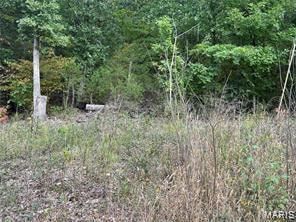 Undeveloped Land for sale in Gasconade County, Missouri