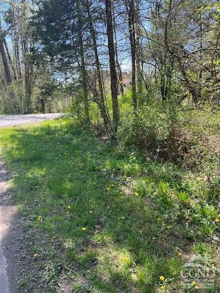 Land for sale in Greene County, New York