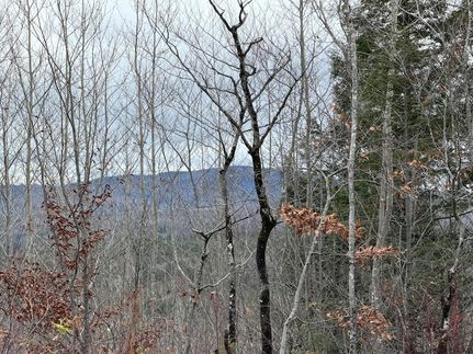 Land for sale in Piscataquis County, Maine