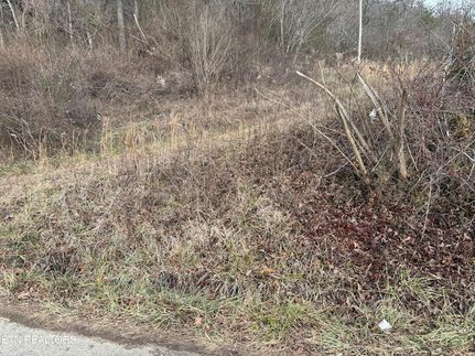 Land for sale in Scott County, Tennessee