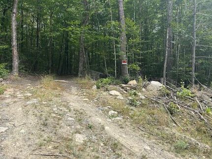 Homesite for sale in Piscataquis County, Maine