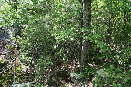 Land for sale in Highland County, Virginia