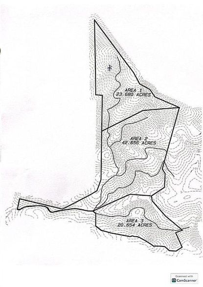 Land for sale in Lumpkin County, Georgia
