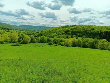 Land for sale in Delaware County, New York